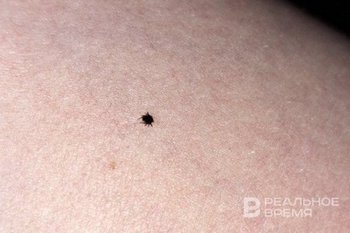 В Татарстане началась вторая волна активности клещей