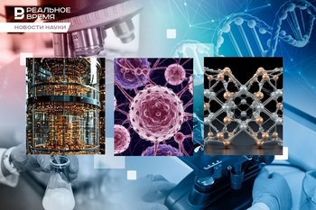 Нобелевская премия-2025: квантовый компьютер, контроль иммунитета, игнорирование Трампа