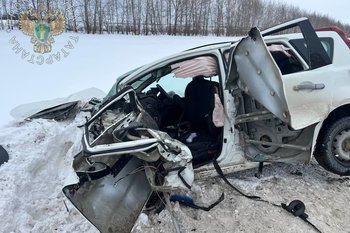 Мужчина и женщина погибли в ДТП на трассе Казань — Оренбург