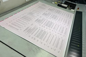 ЦИК Татарстана: бюллетени для голосования на выборах в Госсовет передадут в доставку 26 августа