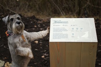 Экотропа, место для тусовок: как изменится парк Прибрежный в Челнах
