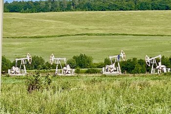 Япония впервые за два с половиной года возобновила импорт российской нефти