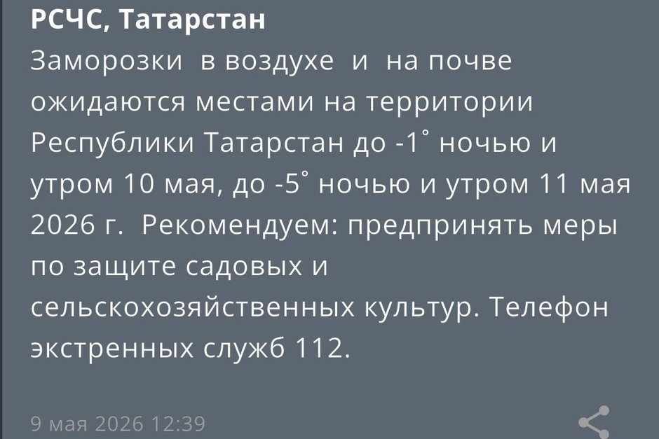 МЧС предупредило о заморозках до -5 градусов в Татарстане