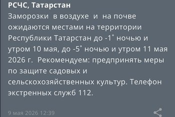 МЧС предупредило о заморозках до -5 градусов в Татарстане