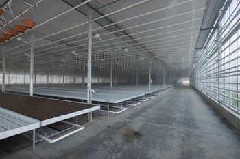 В Казани завершается строительство нового комплекса для выращивания цветочной рассады