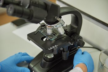 Казанские ученые разработали метод измерения температуры микроскопических объектов