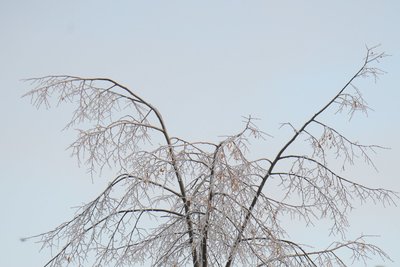 Сегодня в Татарстане ожидается до -5 градусов