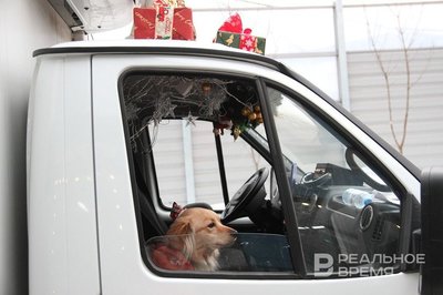 Женщины чаще становятся инициаторами новогодних поездок