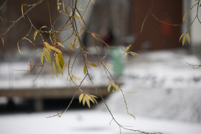 В Татарстане предупредили об ухудшении погодных условий в выходные