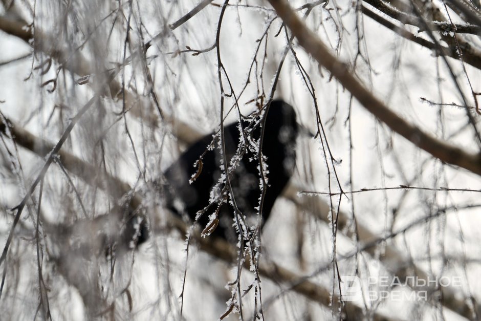 Сегодня в Татарстане ожидается до -8 градусов