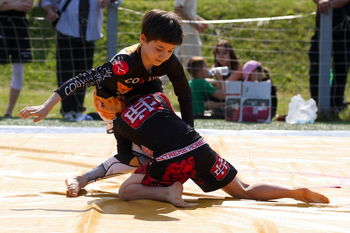 Татарстан выделил более 10 млн рублей на участие в XVII Всероссийских юношеских играх боевых искусств