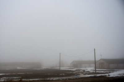 В Татарстане 7 апреля ожидаются туман и сильный ветер