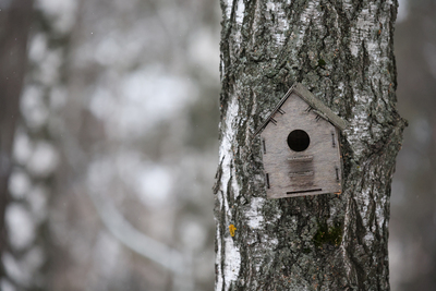 Сегодня утром в Татарстане ожидается до -32 градусов