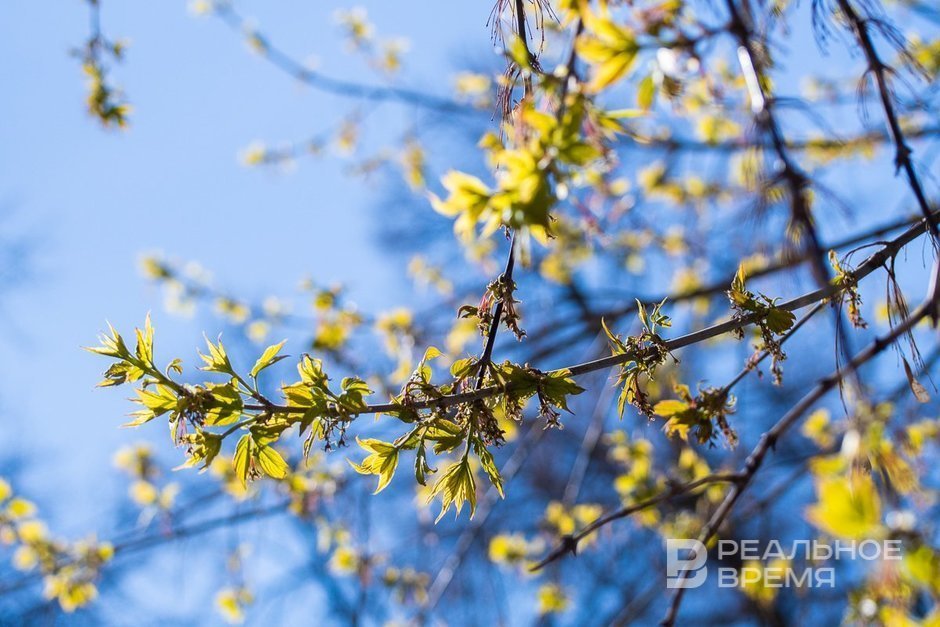 В апреле и мае температура в Татарстане будет выше нормы