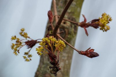Сегодня в Татарстане ожидается до +12 градусов
