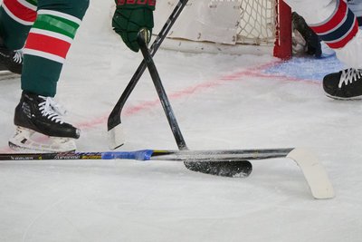 Чехия, Швеция и Финляндия выступили против участия России в Кубке мира