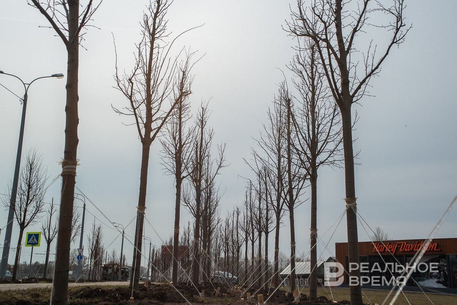 Сегодня в Татарстане ожидается до +8 градусов