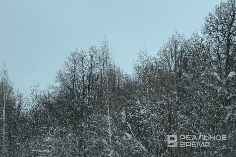 Гидрометцентр Татарстана предупредил о снегопадах и похолодании