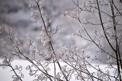 Сегодня в Татарстане похолодает до -20 градусов