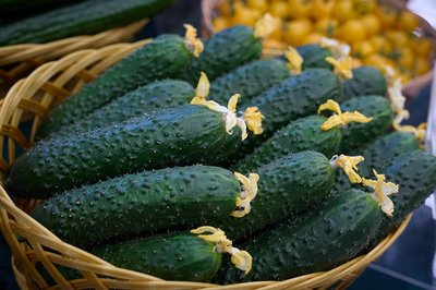 В Татарстане за неделю огурцы подешевели на 6%, а яйца заметно подорожали