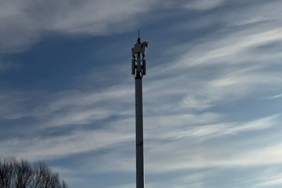 В Татарстане произошел масштабный сбой популярных онлайн-сервисов, в том числе «Телеграма»