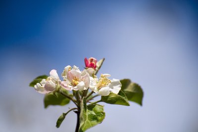 Сегодня в Татарстане ожидается до +7 градусов