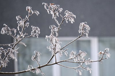 Сегодня в Татарстане ожидается до -3 градусов