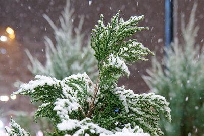 Синоптики оценили вероятность выпадения снега в Казани в апреле