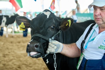 Малый агробизнес Татарстана произвел 42% сельхозпродукции республики