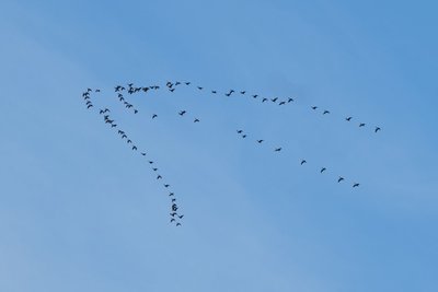 Сегодня в Татарстане ожидается до +15 градусов