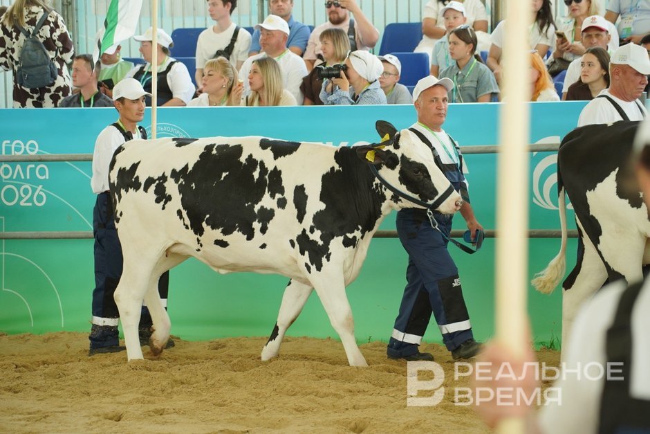 Татарстан ожидает «усушка» производителей молока
