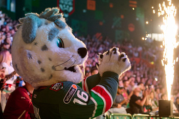 «Ак Барс» продал все абонементы на новый сезон за рекордные сроки