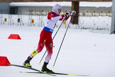 Свищев планирует встретиться с президентом FIS по вопросу санкций