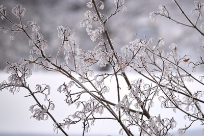 Сегодня в Татарстане ожидается до -4 градусов