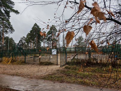 Гидрометцентр России: в Поволжье ожидаются высокие температуры