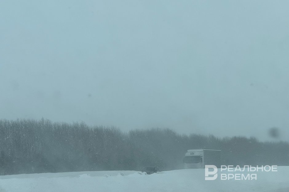 Гидрометцентр: в Татарстане 24 февраля ожидается сильный ветер