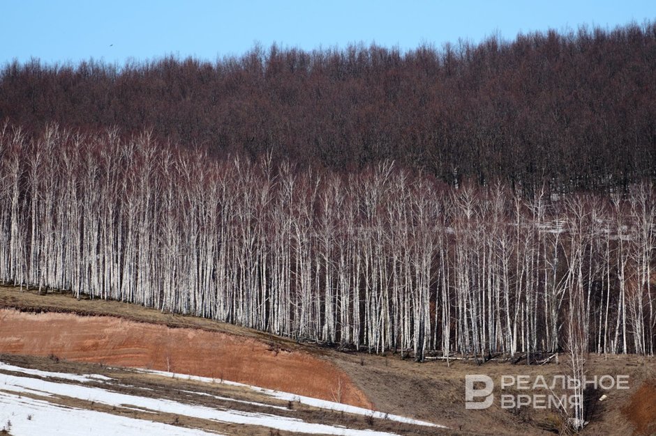 Сегодня в Татарстане ожидается до +17 градусов