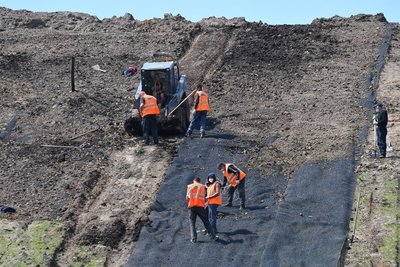 Три месяца вместо шести: Минтруд предложил ужесточить правила трудоустройства мигрантов