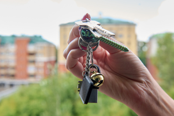 ЦБ: 228 тыс. россиян имеют просрочку по ипотеке