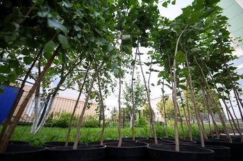 22 дома и 19 дворов Лениногорска будут отремонтированы и благоустроены в 2026 году