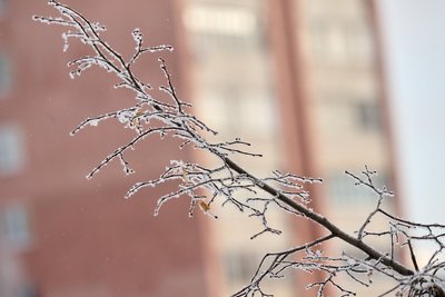 Сегодня в Татарстане ожидается до -7 градусов