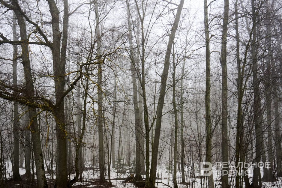 Сегодня в Татарстане ожидается до +14 градусов