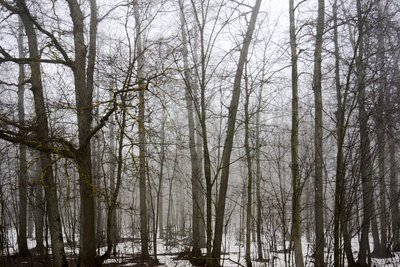 Сегодня в Татарстане ожидается до +14 градусов