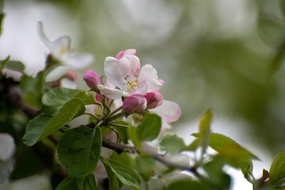 Сегодня в Татарстане ожидается до +8 градусов