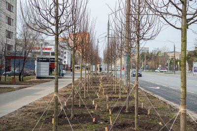 В Казани зафиксировали новый температурный максимум