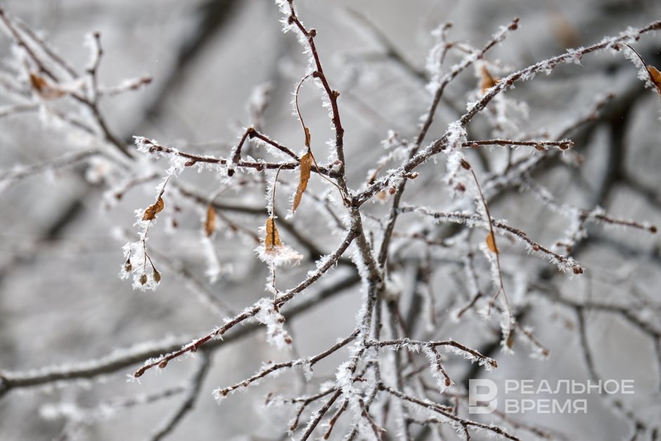Сегодня в Татарстане ожидается до -4 градусов