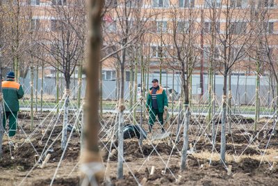 Сегодня в Татарстане ожидается до +14 градусов