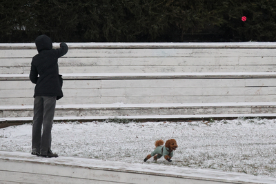 Сегодня в Татарстане ожидается до -3 градусов