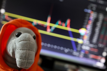 Центробанк понизил ключевую ставку до 17%