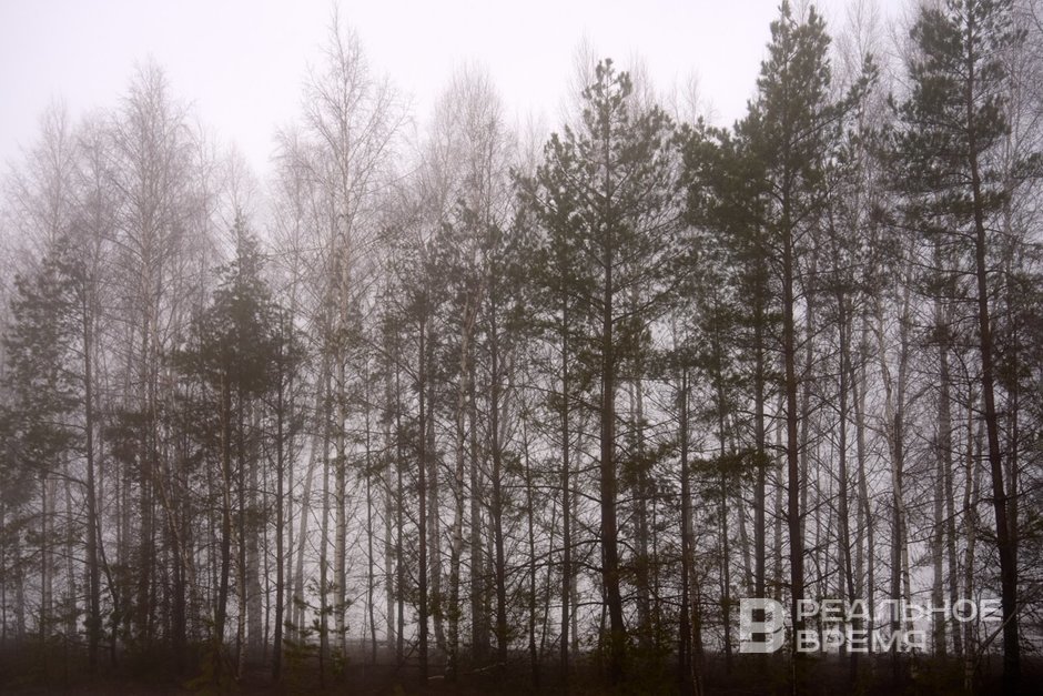 Сегодня в Татарстане ожидается до +13 градусов